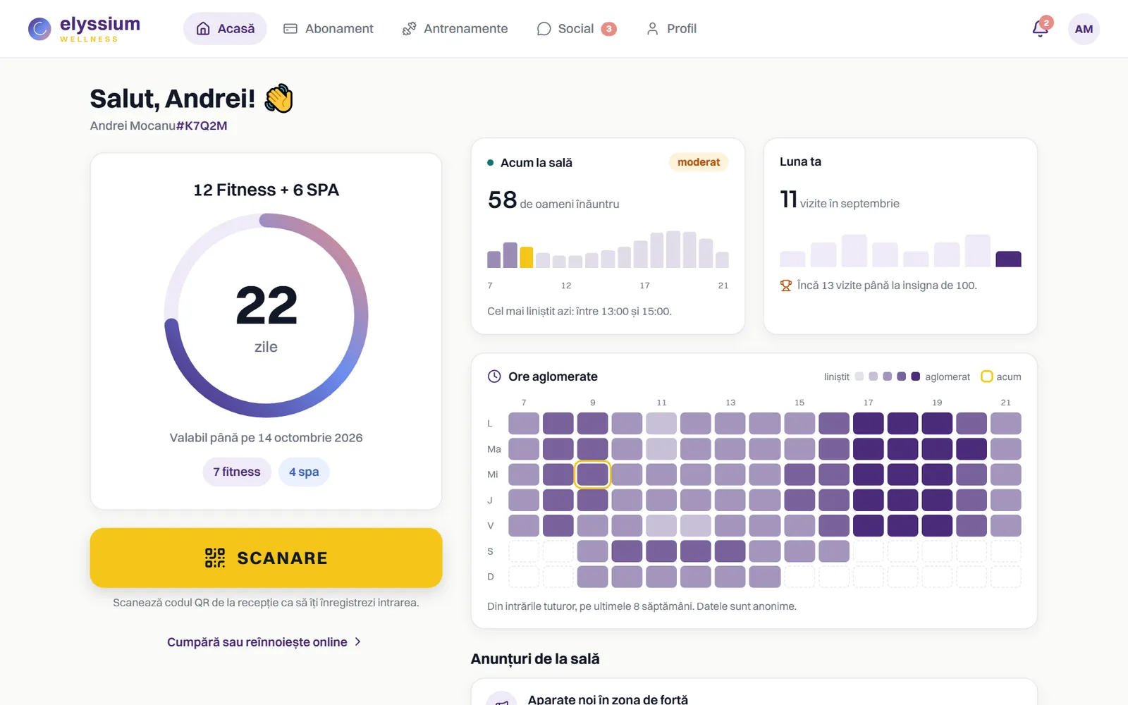 Elyssium Wellness, varianta de desktop